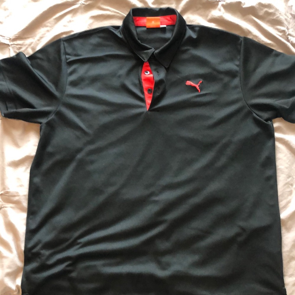 Puma polo